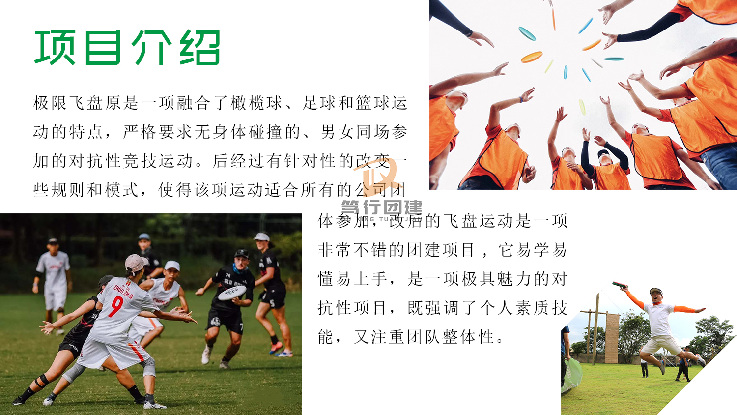 极限飞盘3.jpg